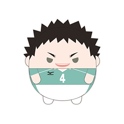 HQ-42 "Haikyu!!" Fuwakororin Big 7 D Iwaizumi Hajime