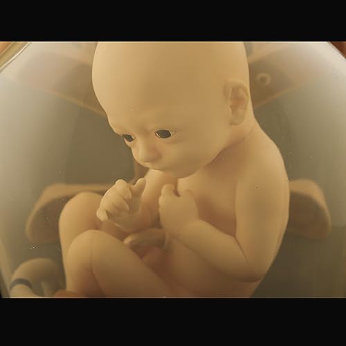 1/1 Scale "Death Stranding" BBPOD LIKE Ver.