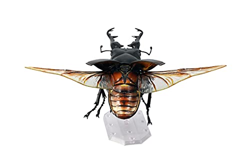 REVO GEO Prosopocoilus giraffa