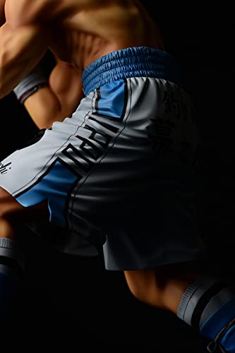 "Hajime no Ippo" Makunouchi Ippo -Fighting Pose-
