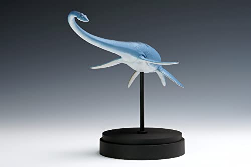 Futabasaurus suzukii