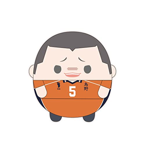 HQ-42 "Haikyu!!" Fuwakororin Big 7 C Tanaka Ryunosuke