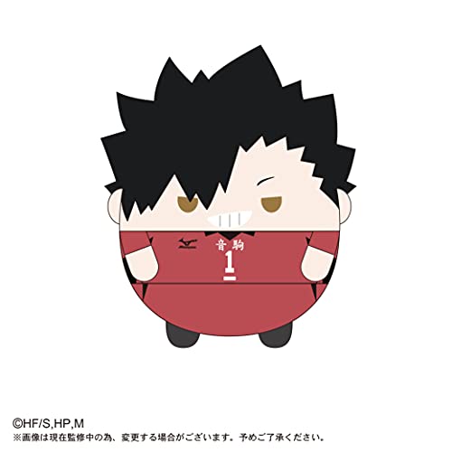 HQ-22 "Haikyu!!" Fuwakororin (M Size) 2 C Kuroo Tetsuro