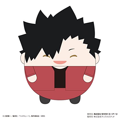 HQ-30 "Haikyu!!" Fuwakororin (M Size) Special D Kuroo Tetsuro