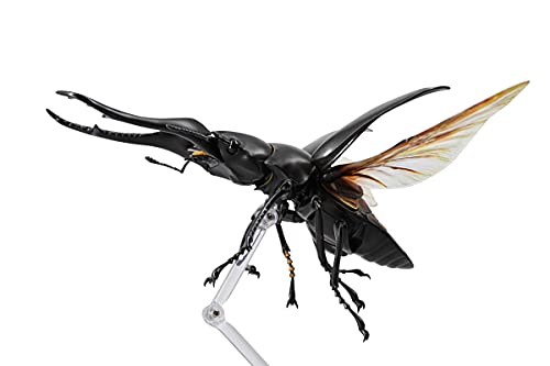 REVO GEO Prosopocoilus giraffa