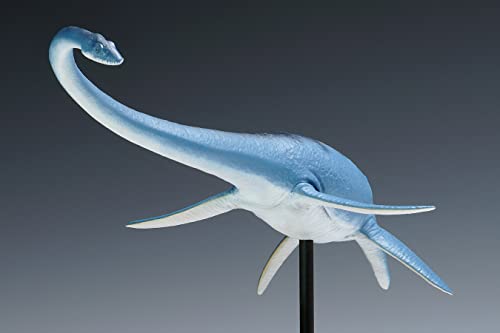 Futabasaurus suzukii