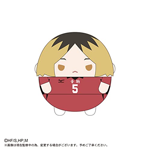 HQ-22 "Haikyu!!" Fuwakororin (M Size) 2 D Kozume Kenma