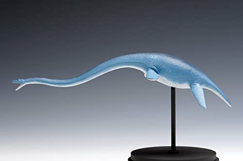Futabasaurus suzukii