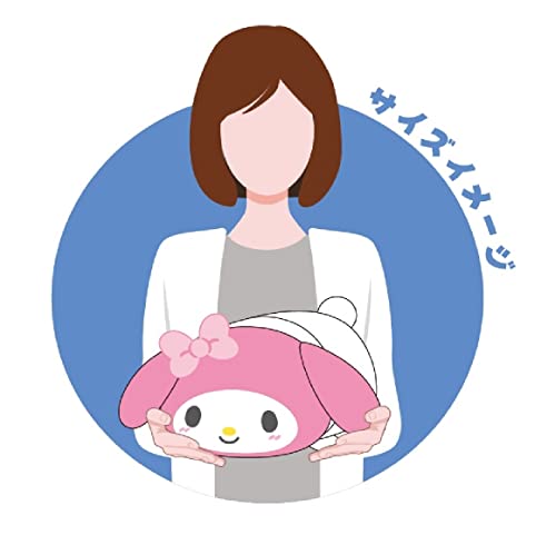 SR-46 Sanrio Characters Potekoro Mascot (M Size) C My Melody