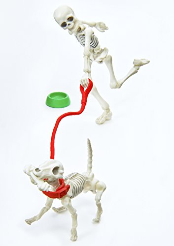 DOG - 1/18 scale - Pose Skeleton - Re-Ment