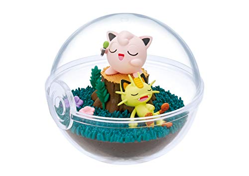 "Pokemon" Terrarium Collection 9