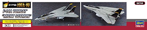 F-14A (Mickey Simon version) - 1/48 scale - Creator Works, Area 88 - Hasegawa