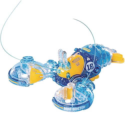 Boston Lobster Crystal Blue