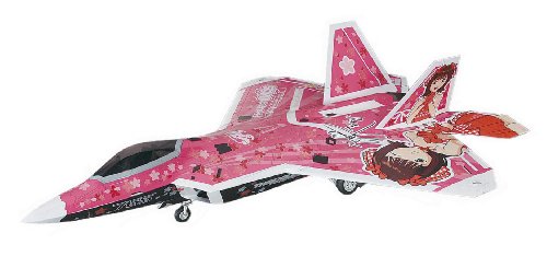 Amami Haruka (Lockheed Martin F-22A Raptor versión) - 1/48 escala - el idolmaster - Hasegawa