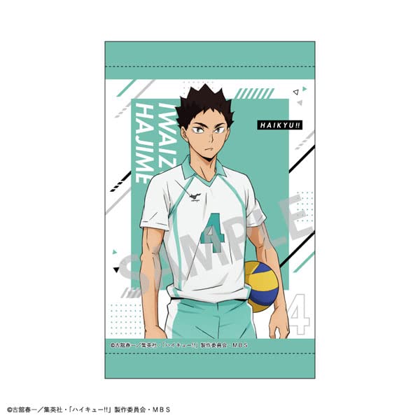 "Haikyu!!" A4 Tapestry Iwaizumi Hajime