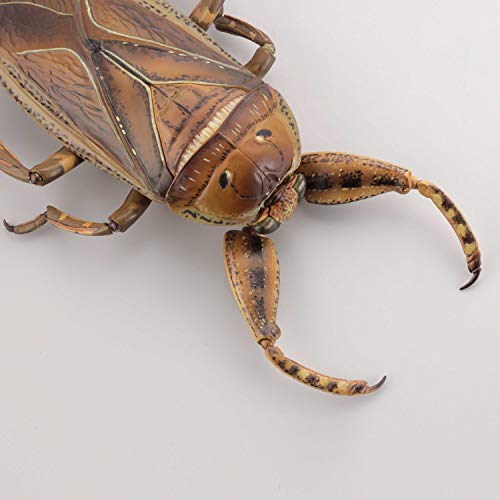 REVO GEO Kirkaldyia Deyrolli
