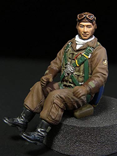 Akizuki Ritsuko (Boeing F/A-18F Version)-1/72 Maßstab-Der Idolmaster-Hasegawa