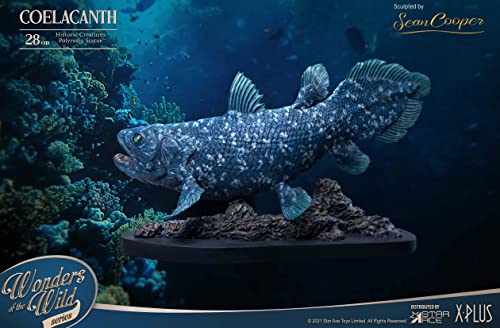 Star Ace Toys Wonders of the Wild Series Coelacanth Polyresin Statue Deluxe Edition