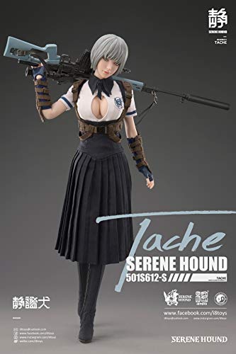 i8TOYS SERENE HOUND SERIES 501S612-S TACHE 1/6 SCALE ACTION FIGURE