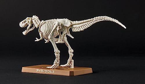 New Dinosaur Plastic Model Brand Tyrannosaurus