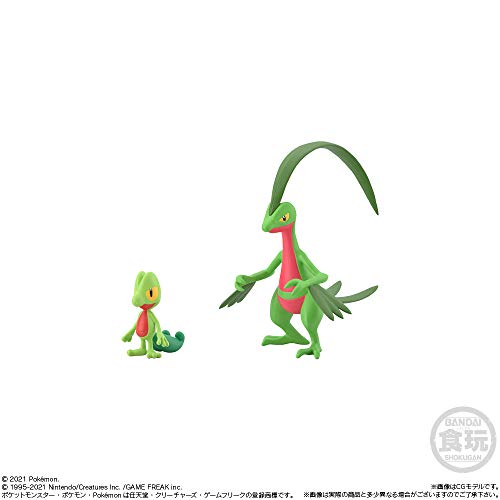 "Pokemon" Pokemon Scale World Hoenn Set
