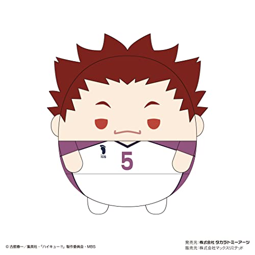 HQ-33 "Haikyu!!" Fuwakororin (M Size) 5 E Tendo Satori