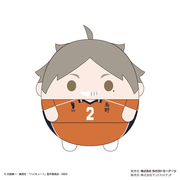 HQ-37 "Haikyu!!" Fuwakororin (M Size) 6 B Sugawara Koshi