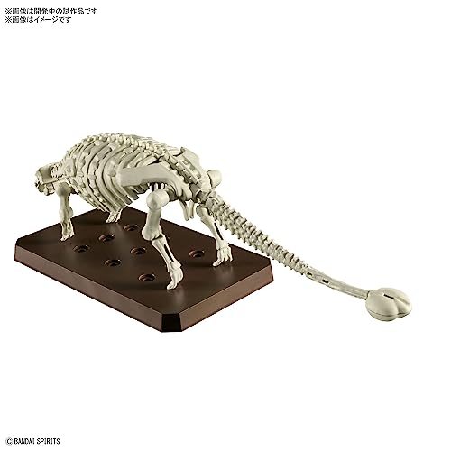 PLANNOSAURUS Ankylosaurus