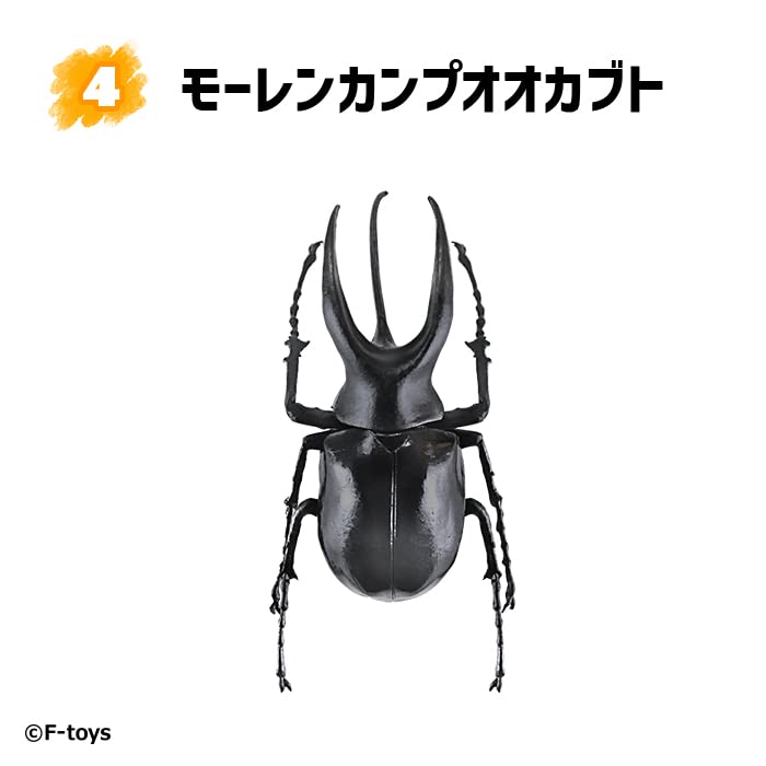 Beetle & Stag Beetle Hunter Kabutomushi x Kuwagata (June, 2023 Edition)