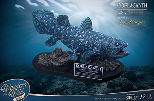 Star Ace Toys Wonders of the Wild Series Coelacanth Polyresin Statue Deluxe Edition