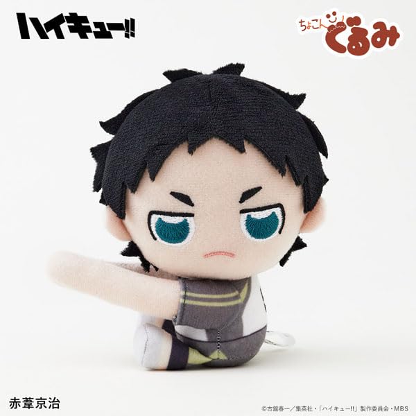 "Haikyu!!" Chokongurumi Gyutto Holder Akaashi Keiji