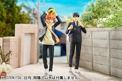 TENITOL "Haikyu!!" Hinata Shoyo