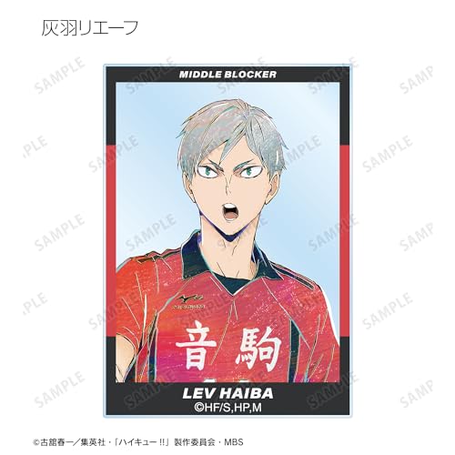 Haikyu Trading Ani Art Vol 6 Acrylic Card — Ninoma