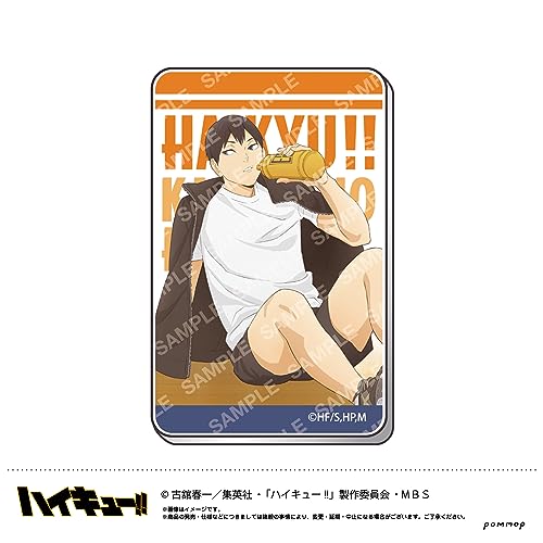 "Haikyu!!" Acrylic Sticker B Kageyama Tobio