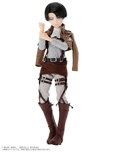 Asterisk Collection Series No. 013 "Attack on Titan" Levi