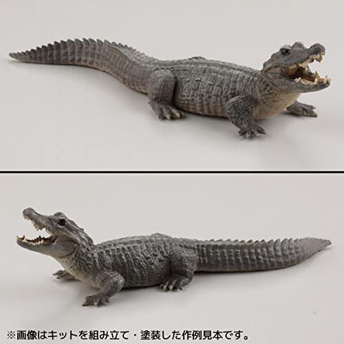 ARTPLA Keeper & Ceratotherium Simum Set