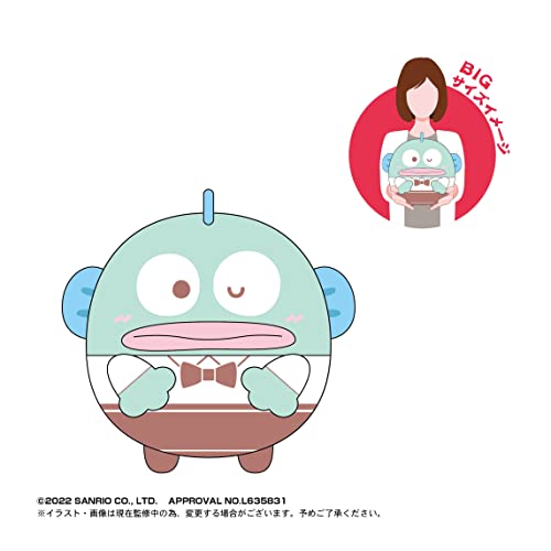 SR-58 Sanrio Characters Fuwakororin Big 3 F Hangyodon