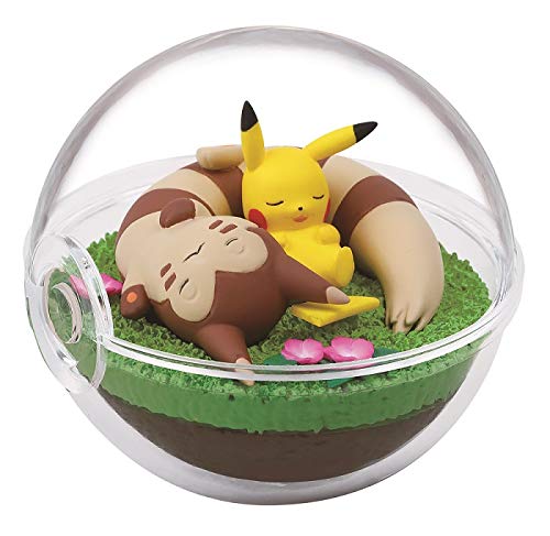 "Pokemon" Terrarium Collection 8