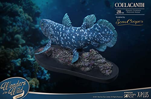 Star Ace Toys Wonders of the Wild Series Coelacanth Polyresin Statue