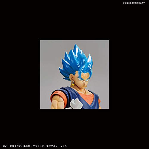 Vegito SSJ DIEU SS Figure Standard Standard Dragon Ball Super - Bandai