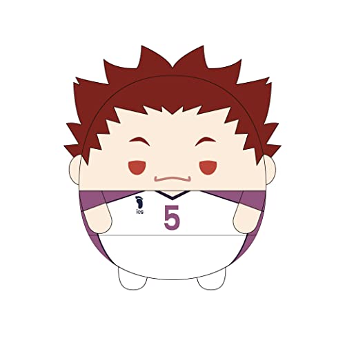 HQ-34 "Haikyu!!" Fuwakororin Big 5 E Tendo Satori