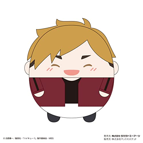 HQ-30 "Haikyu!!" Fuwakororin (M Size) Special I Miya Atsumu