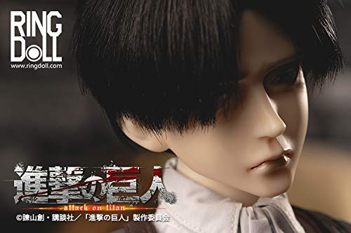 RingDoll "Attack on Titan" BJD Doll Levi Ackerman