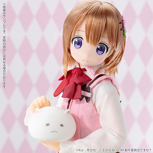 1/6 Pureneemo Character Series 142 "Gochumon wa Usagi Desu ka? Bloom" Cocoa