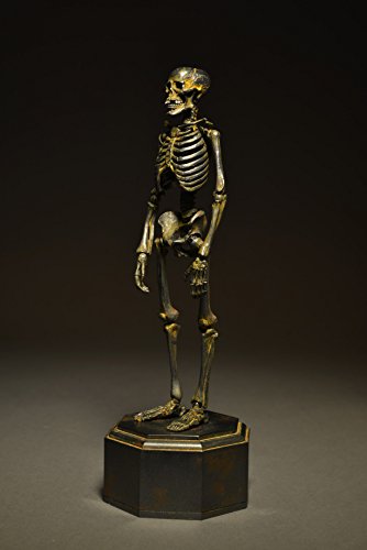 Gaikotsu (Iron Rust version) KT Project (KT-005) Revoltech Takeya - Kaiyodo