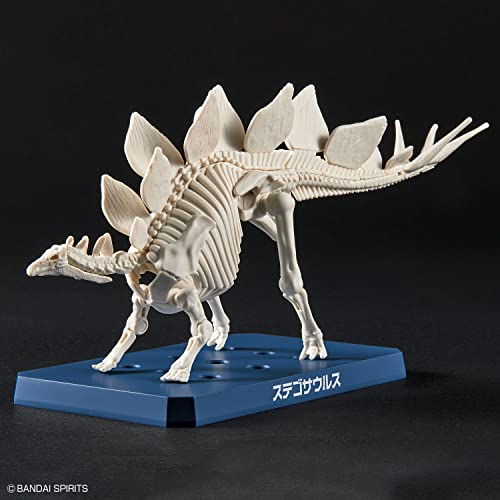 New Dinosaur Plastic Model Brand Stegosaurus