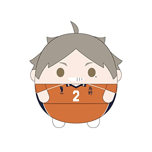 HQ-38 "Haikyu!!" Fuwakororin Big 6 B Sugawara Koshi