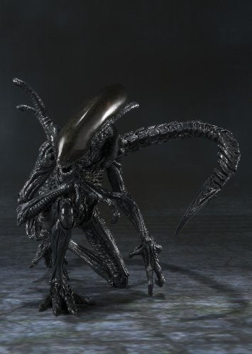 Alien Warrior S.H.MonsterArts Alien Vs Predator - Bandai