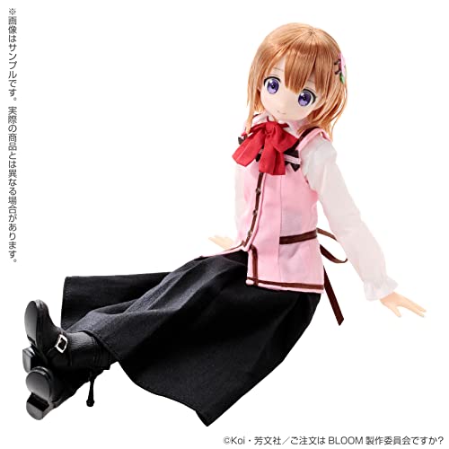 1/6 Pureneemo Character Series 142 "Gochumon wa Usagi Desu ka? Bloom" Cocoa