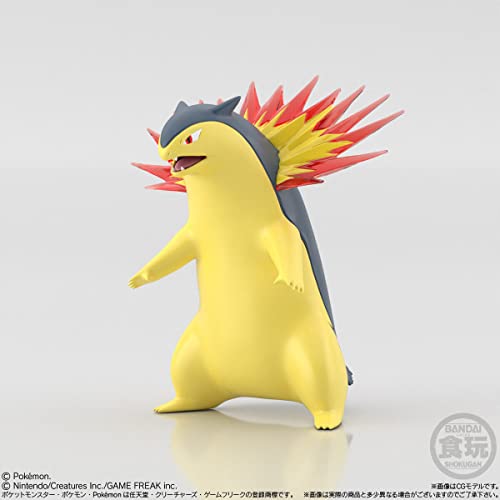 "Pokemon" Pokemon Scale World Johto Region